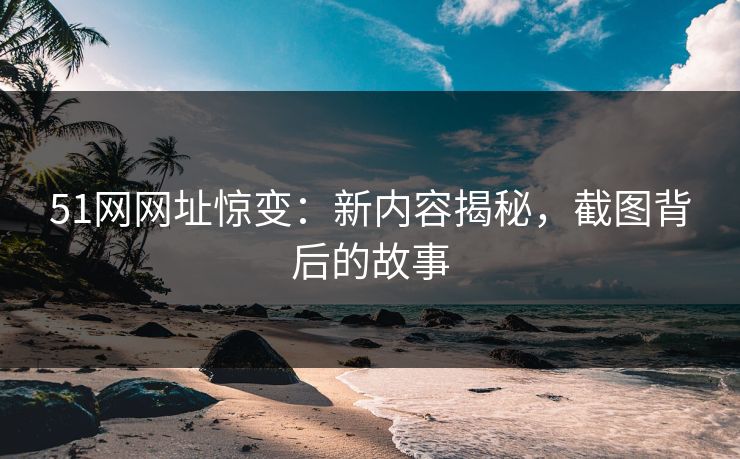 51网网址惊变：新内容揭秘，截图背后的故事