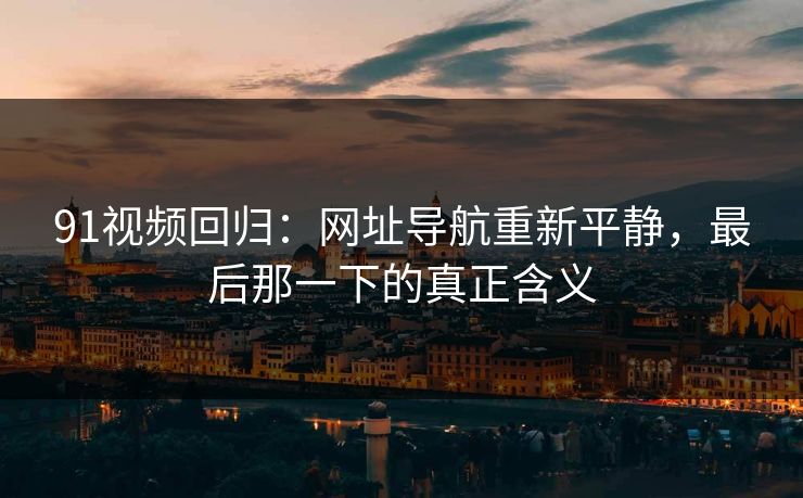 91视频回归：网址导航重新平静，最后那一下的真正含义
