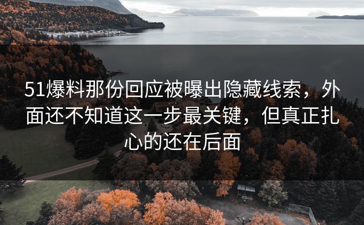 51爆料那份回应被曝出隐藏线索，外面还不知道这一步最关键，但真正扎心的还在后面
