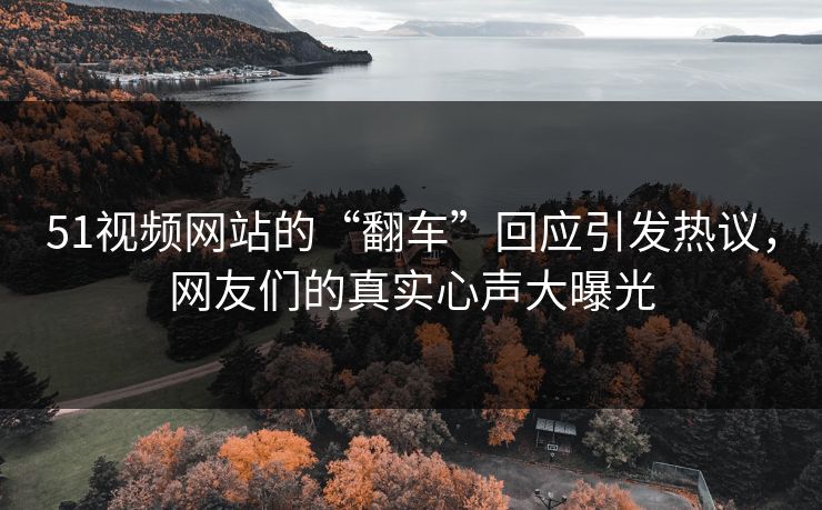51视频网站的“翻车”回应引发热议，网友们的真实心声大曝光